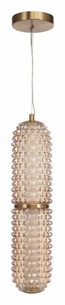 Подвесной светильник ST-Luce SAGUARO SL6144.303.01 в Пойковском - poikovskii.mebel24.online | фото 3