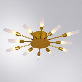 Потолочная люстра Arte Lamp Maple A1276PL-12GO в Пойковском - poikovskii.mebel24.online | фото 1