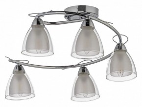 Потолочная люстра Arti Lampadari Paola, Tavenna Nickel Paola E 1.1.5 N в Пойковском - poikovskii.mebel24.online | фото
