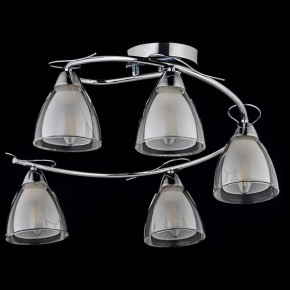 Потолочная люстра Arti Lampadari Paola, Tavenna Nickel Paola E 1.1.5 N в Пойковском - poikovskii.mebel24.online | фото 2