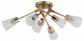 Потолочная люстра Escada Felicia 1137/6P в Пойковском - poikovskii.mebel24.online | фото