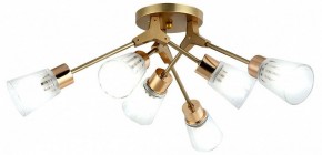 Потолочная люстра Escada Felicia 1137/6P в Пойковском - poikovskii.mebel24.online | фото 2