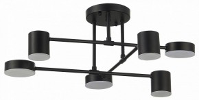 Потолочная люстра EVOLUCE Nobel SLE201042-06 в Пойковском - poikovskii.mebel24.online | фото 11