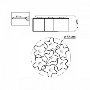 Потолочная люстра Lightstar Nubi 802070 в Пойковском - poikovskii.mebel24.online | фото 6