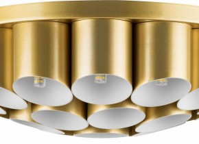 Потолочная люстра Lightstar Siena 720222 в Пойковском - poikovskii.mebel24.online | фото 3