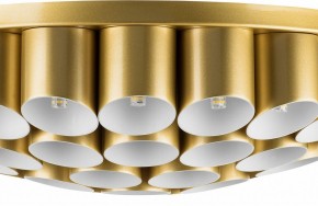 Потолочная люстра Lightstar Siena 720402 в Пойковском - poikovskii.mebel24.online | фото 3