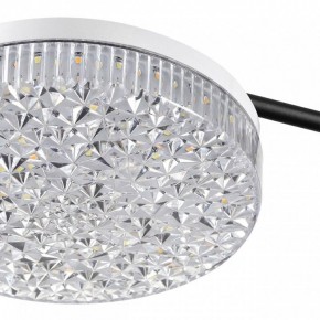 Потолочная люстра Lumion Didana 8236/4CL в Пойковском - poikovskii.mebel24.online | фото 10
