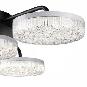 Потолочная люстра Lumion Didana 8236/4CL в Пойковском - poikovskii.mebel24.online | фото 7