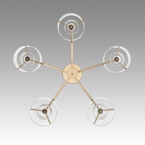 Потолочная люстра Lumion Verdi 6587/5C в Пойковском - poikovskii.mebel24.online | фото 4