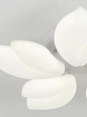 Потолочная люстра Natali Kovaltseva Effect LED LAMPS 81116 в Пойковском - poikovskii.mebel24.online | фото 10