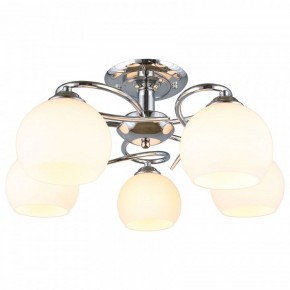 Потолочная люстра Omnilux Casoria OML-25107-05 в Пойковском - poikovskii.mebel24.online | фото 2