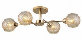 Потолочная люстра Rivoli Amalia Б0050815 в Пойковском - poikovskii.mebel24.online | фото 3