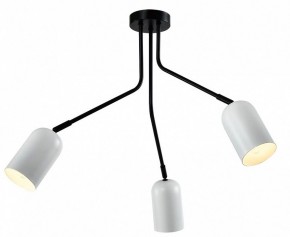 Потолочная люстра Rivoli Rosalinda Б0064987 в Пойковском - poikovskii.mebel24.online | фото 2