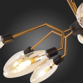 Потолочная люстра ST-Luce Desima SL1174.303.12 в Пойковском - poikovskii.mebel24.online | фото 10