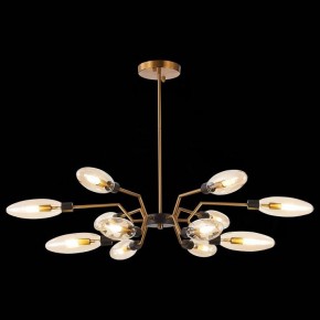 Потолочная люстра ST-Luce Desima SL1174.303.12 в Пойковском - poikovskii.mebel24.online | фото 2