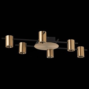 Потолочная люстра ST-Luce Veroli SL1207.402.06 в Пойковском - poikovskii.mebel24.online | фото 2