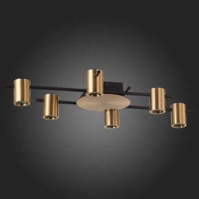 Потолочная люстра ST-Luce Veroli SL1207.402.06 в Пойковском - poikovskii.mebel24.online | фото 4
