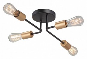 Потолочная люстра Vitaluce V3005 V3005-1/4PL в Пойковском - poikovskii.mebel24.online | фото 2