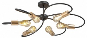 Потолочная люстра Vitaluce V3076 V3076-1/6PL в Пойковском - poikovskii.mebel24.online | фото 3