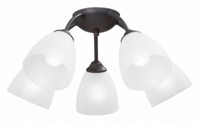Потолочная люстра Vitaluce V3184 V3737-2/5PL в Пойковском - poikovskii.mebel24.online | фото
