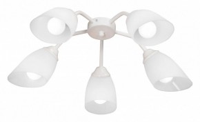 Потолочная люстра Vitaluce V31950 V31950/5PL в Пойковском - poikovskii.mebel24.online | фото