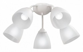 Потолочная люстра Vitaluce V3737 V3737-0/5PL в Пойковском - poikovskii.mebel24.online | фото