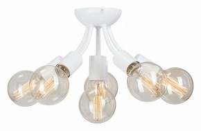 Потолочная люстра Vitaluce V3927 V3927-0/6PL в Пойковском - poikovskii.mebel24.online | фото