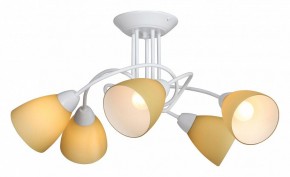 Потолочная люстра Vitaluce V3955 V3955-0/5PL в Пойковском - poikovskii.mebel24.online | фото 2