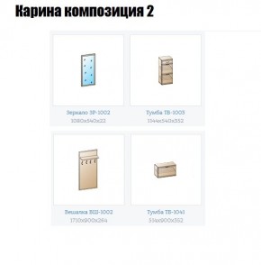 Прихожая Карина (модульная) в Пойковском - poikovskii.mebel24.online | фото 6