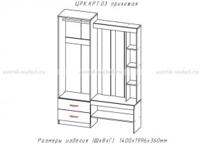 КРИТ-3 Прихожая (Анкор темный/Анкор белый) в Пойковском - poikovskii.mebel24.online | фото 2