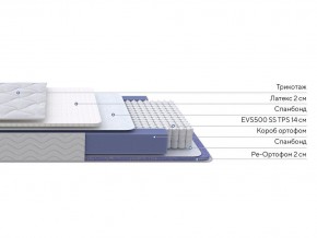 PROxSON Матрас Active Duo S/F (Ткань Трикотаж Эко) 80x195 в Пойковском - poikovskii.mebel24.online | фото 2