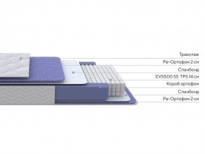 PROxSON Матрас Active F (Ткань Трикотаж Эко) 80x195 в Пойковском - poikovskii.mebel24.online | фото 2