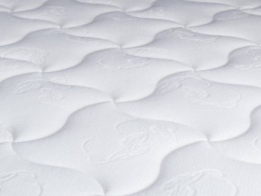 PROxSON Матрас Active Flex M (Ткань Трикотаж Эко) 160x190 в Пойковском - poikovskii.mebel24.online | фото 9