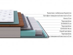 PROxSON Матрас Elysium Firm (Трикотаж Spiral-RT) 80x200 в Пойковском - poikovskii.mebel24.online | фото 2