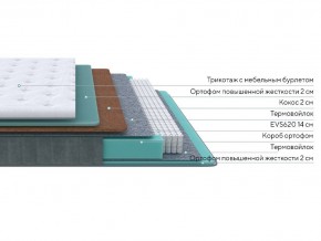 PROxSON Матрас Grace Firm (Трикотаж Prestige Latte) 120x220 в Пойковском - poikovskii.mebel24.online | фото 2