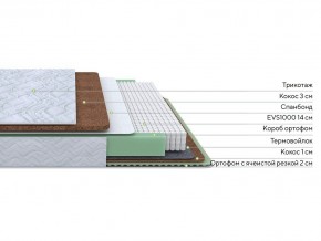 PROxSON Матрас Green Duo M/F (Tricotage Dream) 80x200 в Пойковском - poikovskii.mebel24.online | фото 1