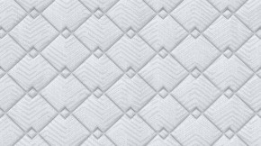 PROxSON Матрас Standart Plus M (Ткань Жаккард) 160x190 в Пойковском - poikovskii.mebel24.online | фото 9