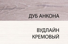 Шкаф 1DZ, OLIVIA, цвет вудлайн крем/дуб анкона в Пойковском - poikovskii.mebel24.online | фото 3