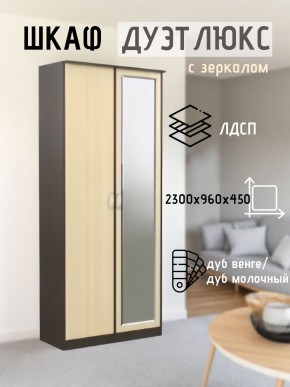 Шкаф 2-х створчатый Дуэт Люкс с зеркалом в Пойковском - poikovskii.mebel24.online | фото 1
