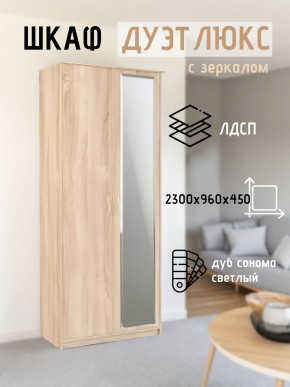 Шкаф 2-х створчатый Дуэт Люкс с зеркалом в Пойковском - poikovskii.mebel24.online | фото 7