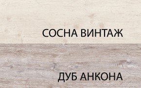 Шкаф 2DG2S, MONAKO, цвет Сосна винтаж/дуб анкона в Пойковском - poikovskii.mebel24.online | фото