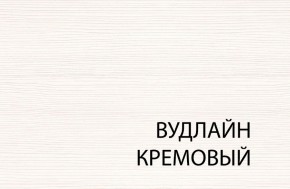 Шкаф 2DG2S, TIFFANY, цвет вудлайн кремовый в Пойковском - poikovskii.mebel24.online | фото