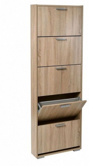 Шкаф для обуви УК-5 в Пойковском - poikovskii.mebel24.online | фото