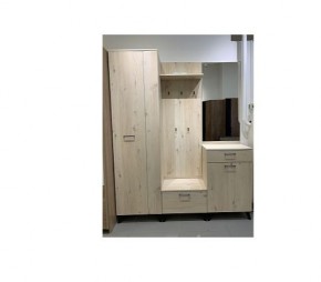 Шкаф для одежды 2-х дверный София 1 в Пойковском - poikovskii.mebel24.online | фото 6