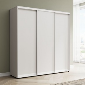 Шкаф-купе Акцент-Сим Д 2400-600 в Пойковском - poikovskii.mebel24.online | фото 1