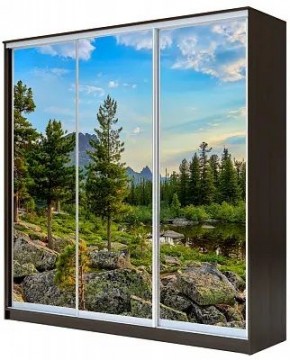 Шкаф-купе ХИТ 22-18/2-777 ПРИРОДА в Пойковском - poikovskii.mebel24.online | фото