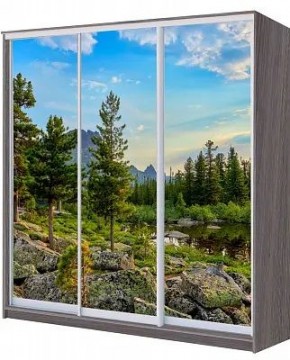Шкаф-купе ХИТ 22-20/2-777 ПРИРОДА в Пойковском - poikovskii.mebel24.online | фото