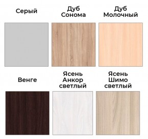 Шкаф-купе ХИТ 22-4-14-88 (420) в Пойковском - poikovskii.mebel24.online | фото 4