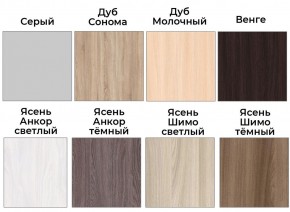 Шкаф-купе ХИТ 22-4-15-88 (420) в Пойковском - poikovskii.mebel24.online | фото 3