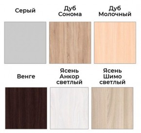 Шкаф-купе ХИТ 22-4-17-55 (420) в Пойковском - poikovskii.mebel24.online | фото 3